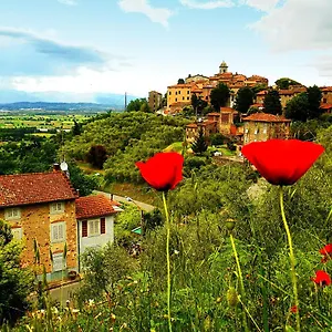 Alto Castelvecchio (Pisa)